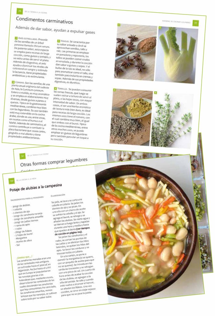 Maneras de cocinar legumbres, libro de cocina y gastronomía de Emma Ros editado por Grijalbo